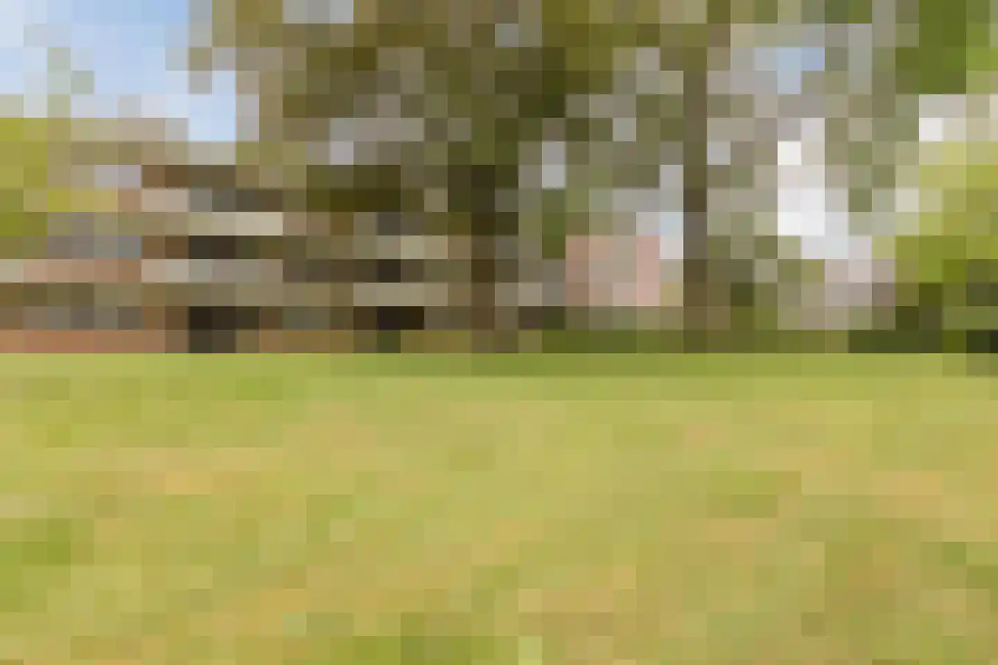Van der Waalsstraat 50 Wageningen thumbnail 31
