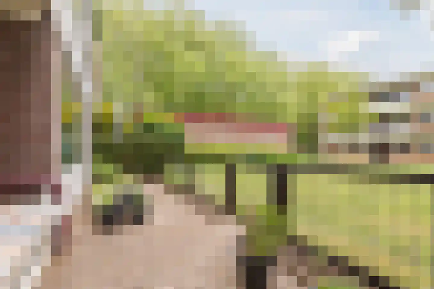 Van der Waalsstraat 50 Wageningen thumbnail 4