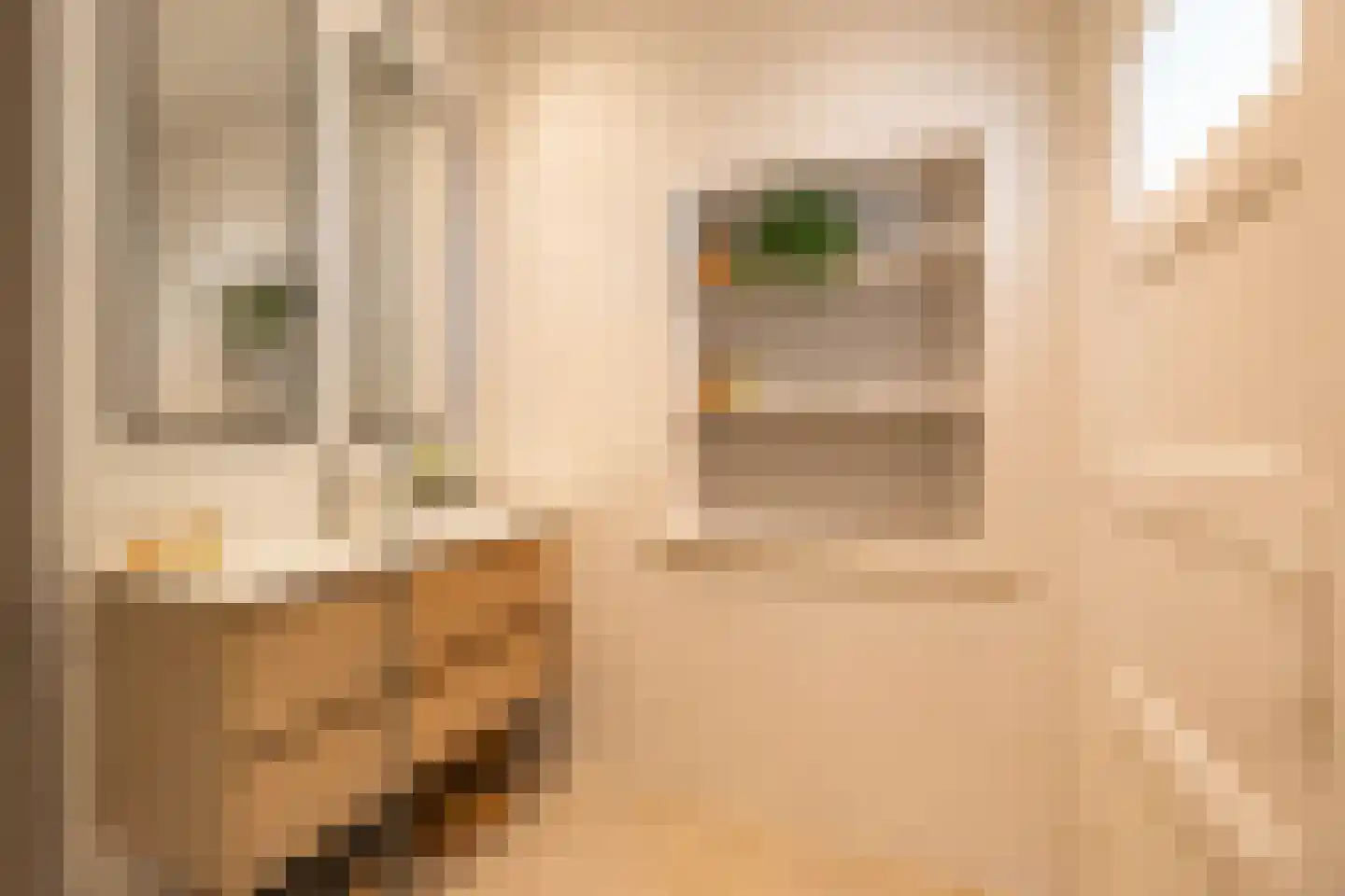 Van der Waalsstraat 7 Groningen thumbnail 34
