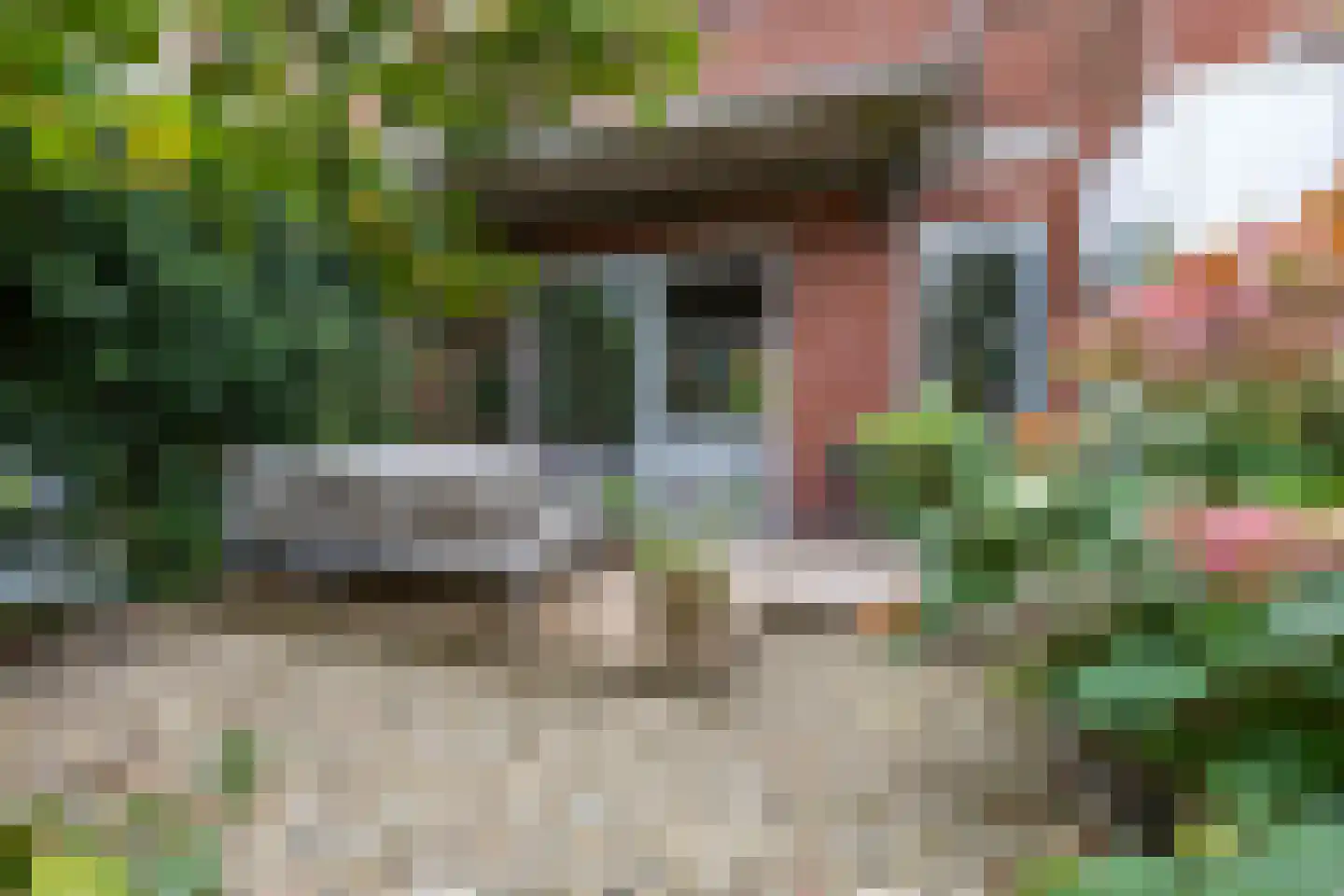 Van der Waalsstraat 7 Groningen thumbnail 41