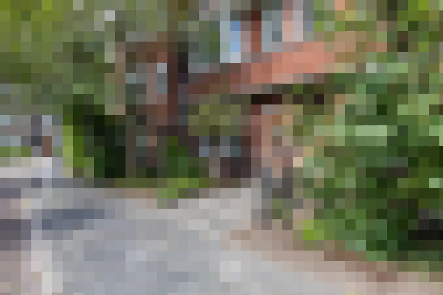 Van der Waalsstraat 7 Groningen thumbnail 48