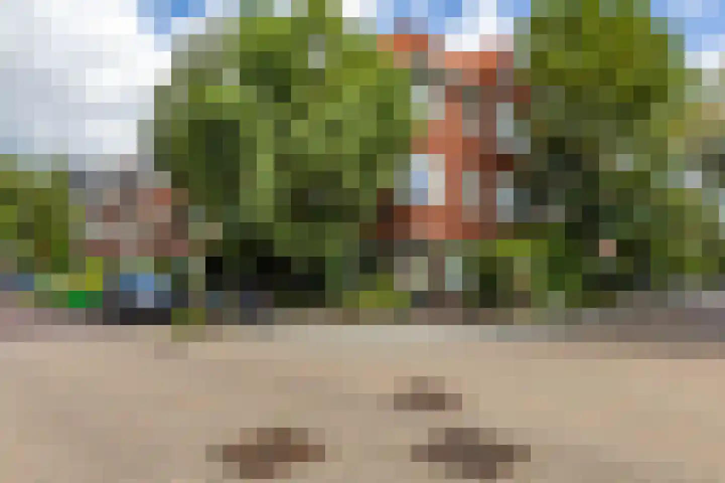 Van der Waalsstraat 7 Groningen thumbnail 50