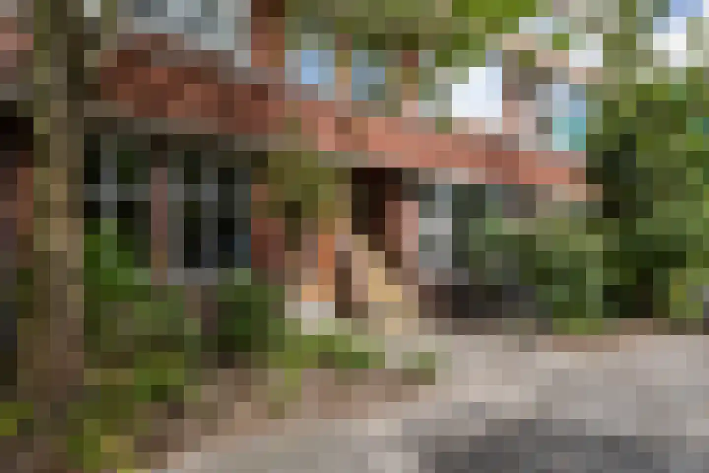 Van der Waalsstraat 7 Groningen thumbnail 6