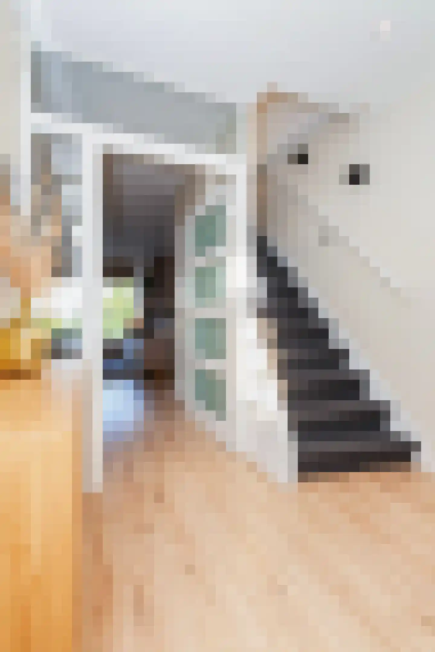 van der Waalsstraat 85 Vlaardingen thumbnail 8