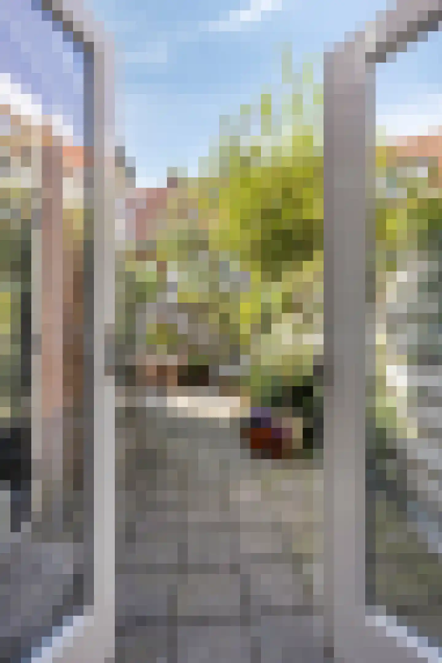 Van der Waalsstraat 9 Leiden thumbnail 15