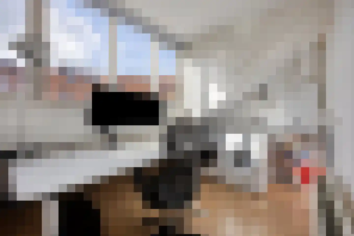 Van der Waalsstraat 9 Leiden thumbnail 34