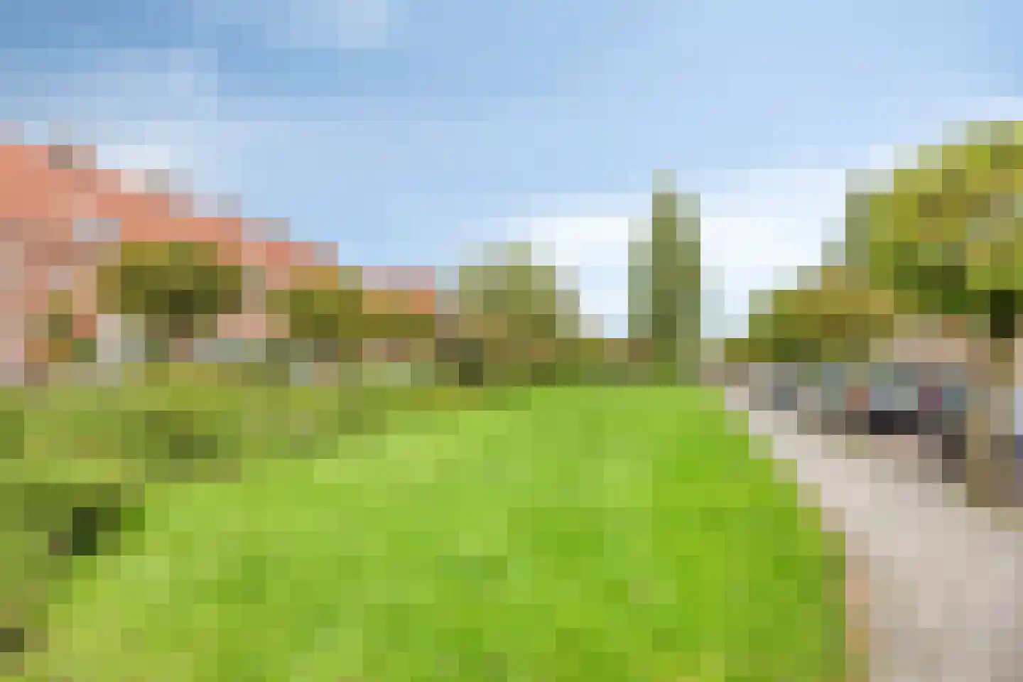 Van der Waalsstraat 9 Leiden thumbnail 38