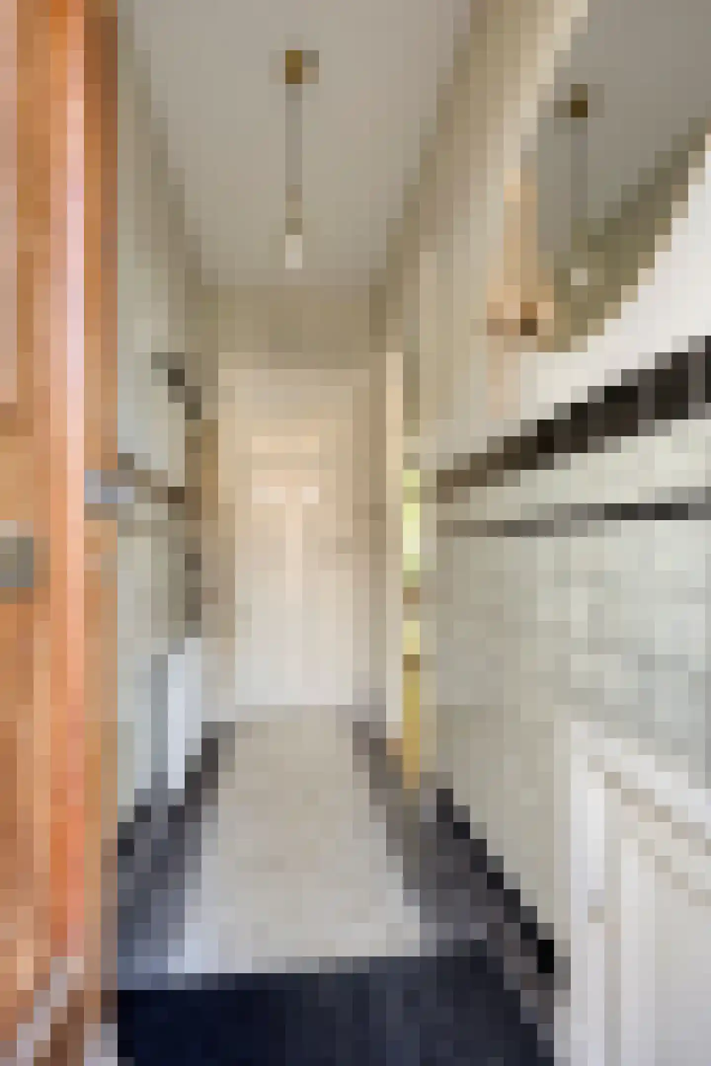 Van der Waalsstraat 9 Leiden thumbnail 6