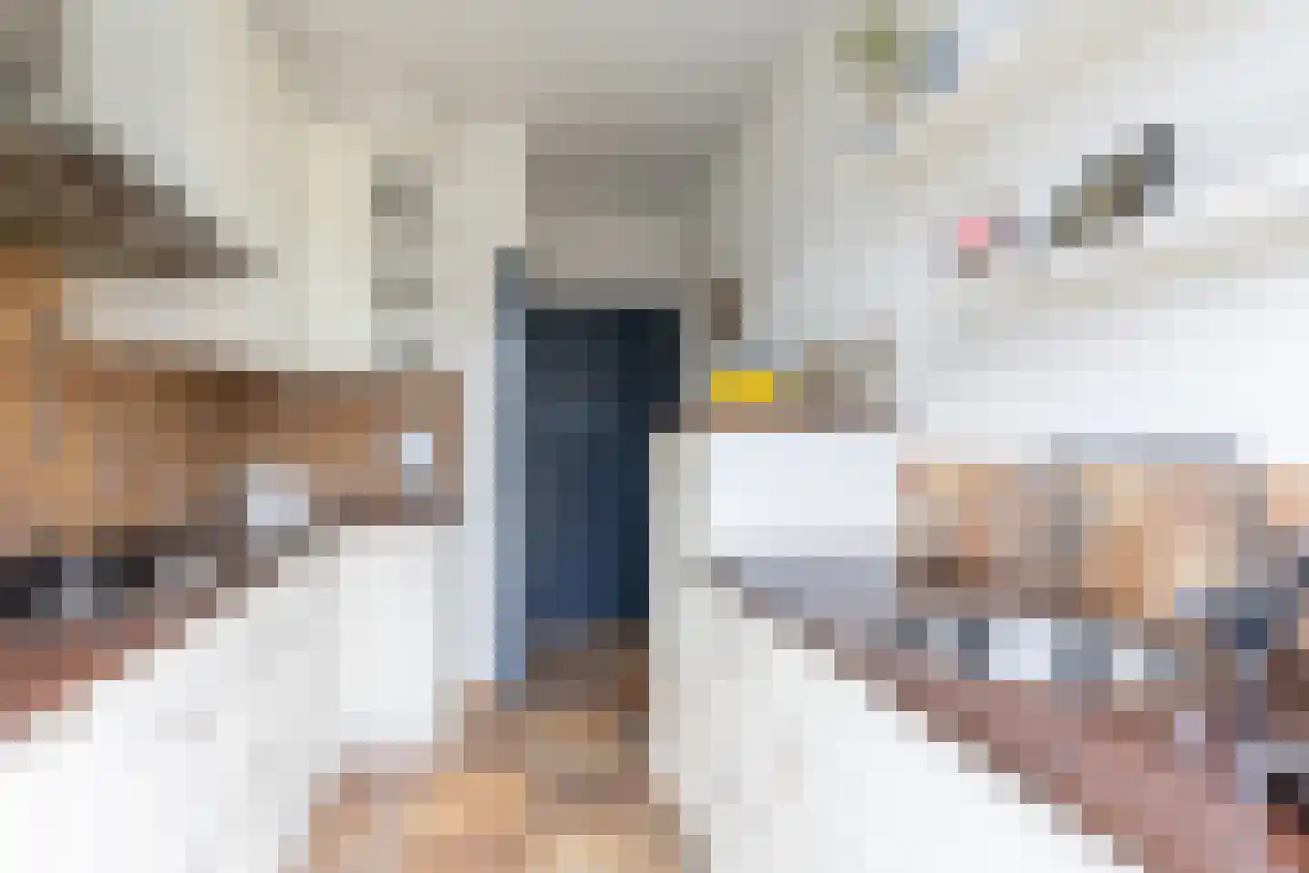 van der Waalstraat 27 Geertruidenberg thumbnail 13