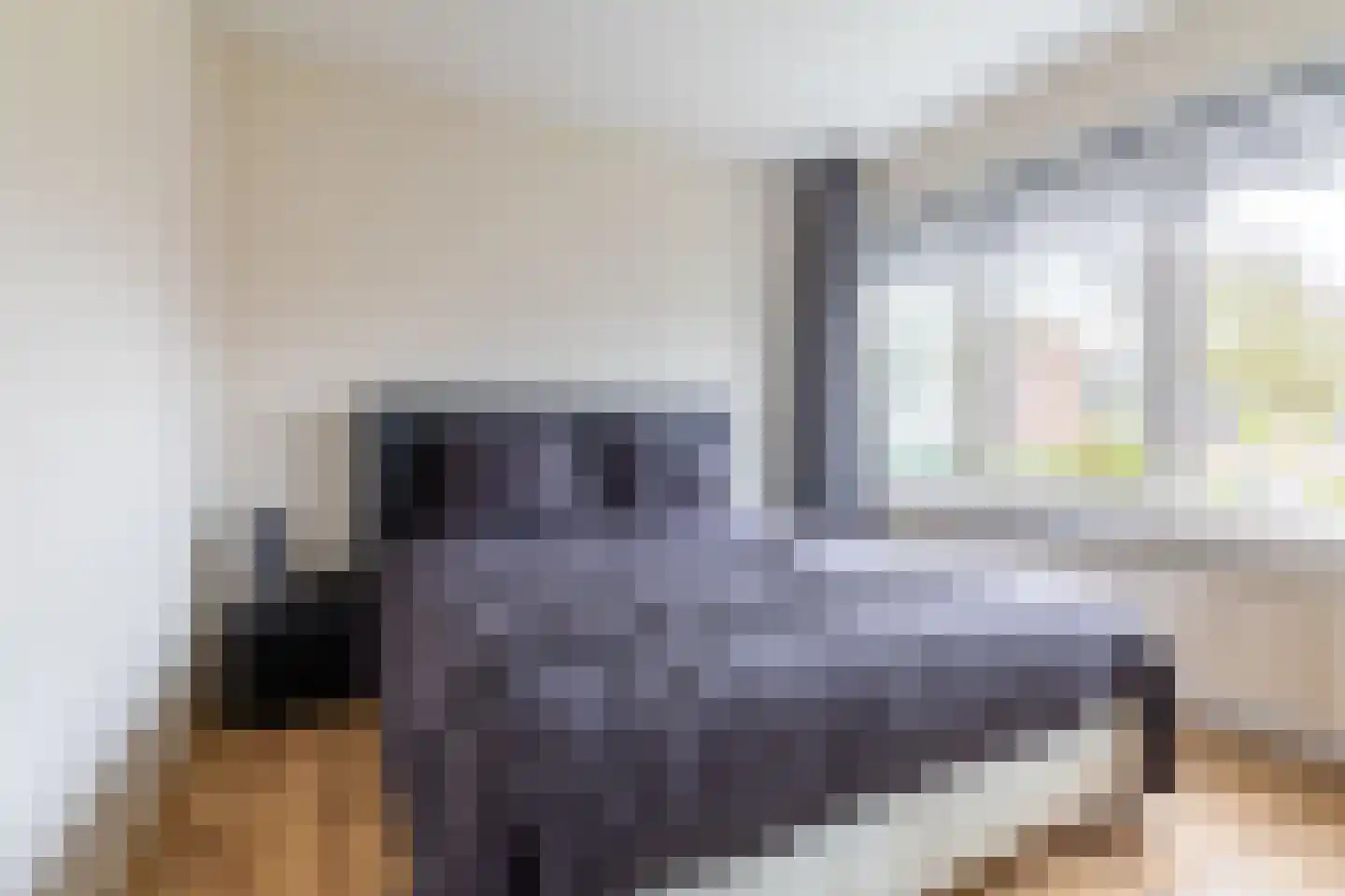 van der Waalstraat 27 Geertruidenberg thumbnail 17