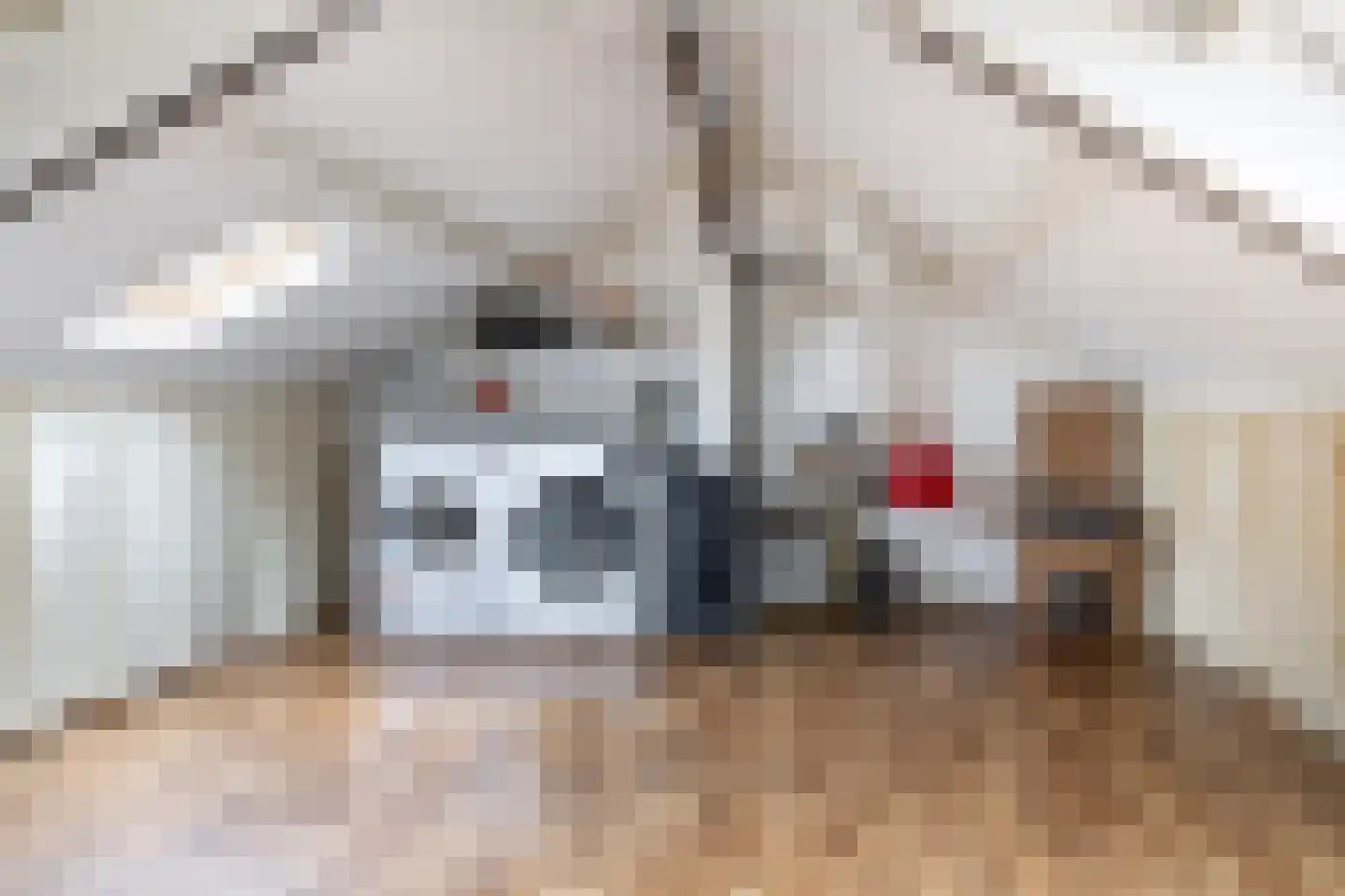 van der Waalstraat 27 Geertruidenberg thumbnail 22