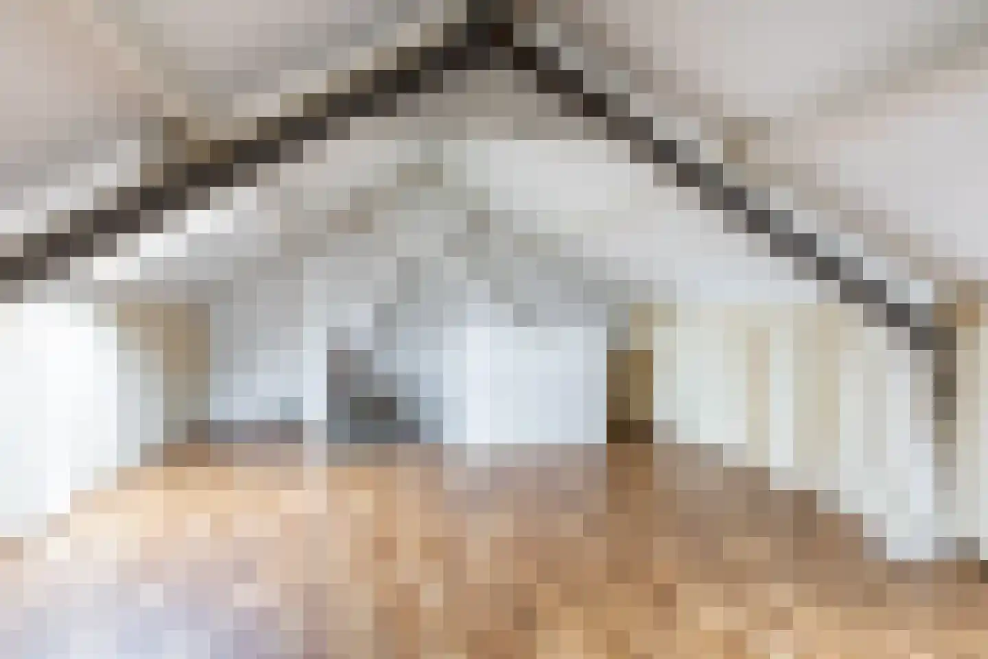 van der Waalstraat 27 Geertruidenberg thumbnail 23