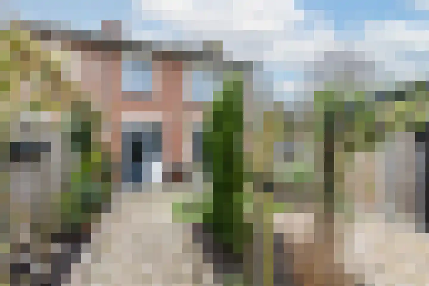 van der Waalstraat 27 Geertruidenberg thumbnail 25