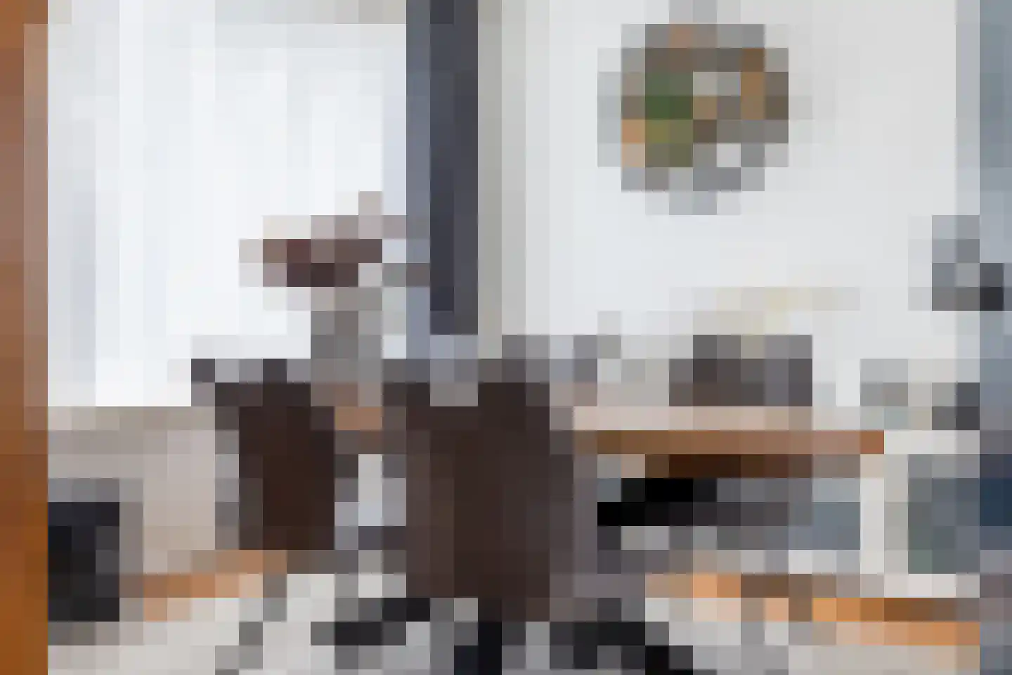 van der Waalstraat 27 Geertruidenberg thumbnail 8