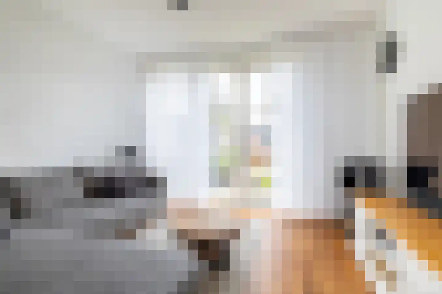 van der Waalstraat 27 Geertruidenberg thumbnail 9