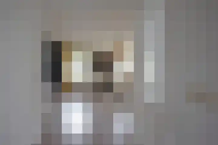 Van der Walstrjitte 13 Burgum thumbnail 17