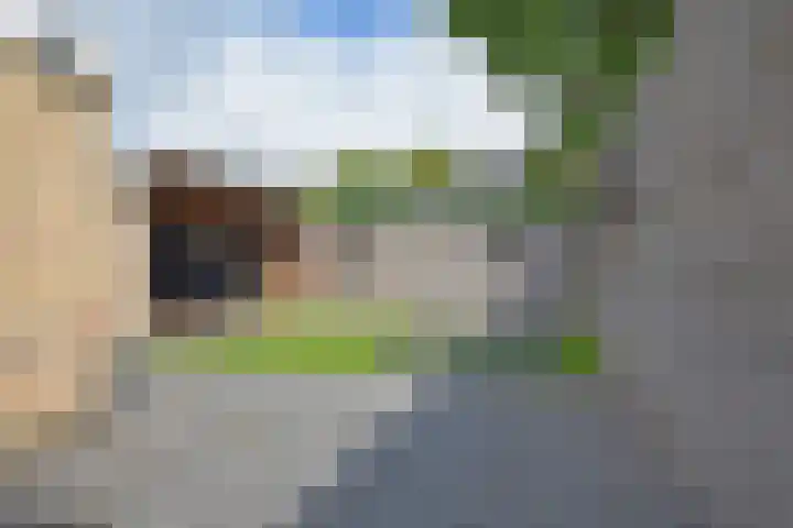 Van der Walstrjitte 13 Burgum thumbnail 8