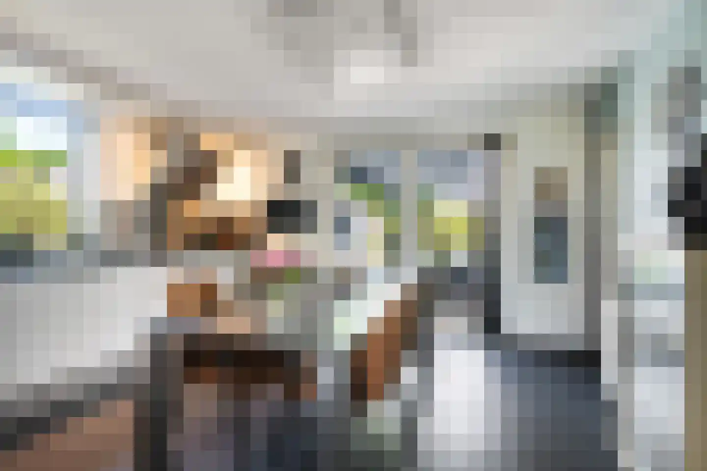 Van der Walstrjitte 45 Burgum thumbnail 20