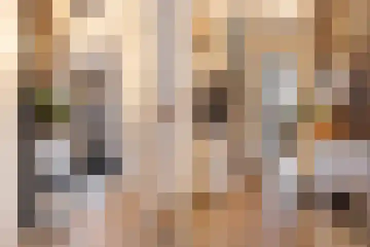 Van der Weddenhof 45 Hendrik-Ido-Ambacht thumbnail 8