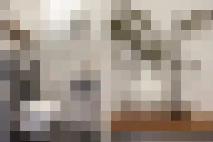 Van der Weddenhof 45 Hendrik-Ido-Ambacht thumbnail 9
