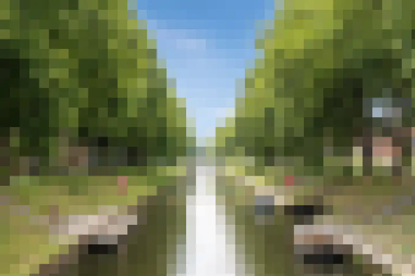 Van der Weeghensingel 35 's-Hertogenbosch thumbnail 28