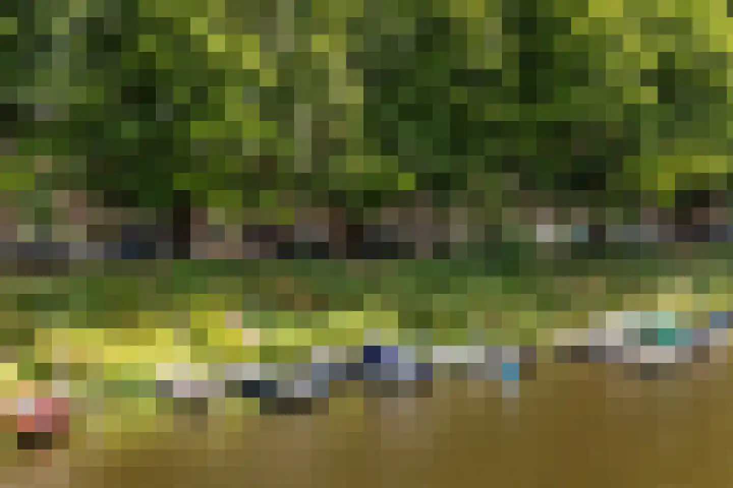 Van der Weeghensingel 35 's-Hertogenbosch thumbnail 29