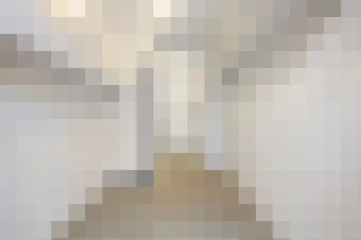 Van der Weidenlaan 7 Heemstede thumbnail 18