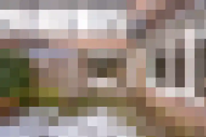 Van der Weidenlaan 7 Heemstede thumbnail 21