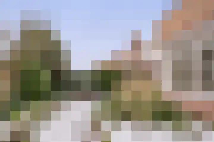 Van der Weidenlaan 7 Heemstede thumbnail 25