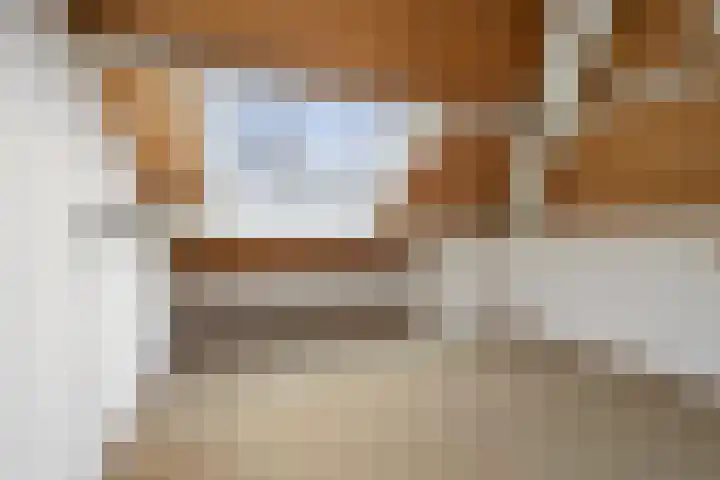 Van der Weidenlaan 7 Heemstede thumbnail 41