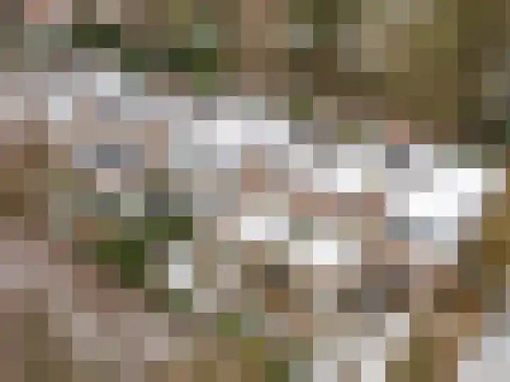 Van der Weidenlaan 7 Heemstede thumbnail 44