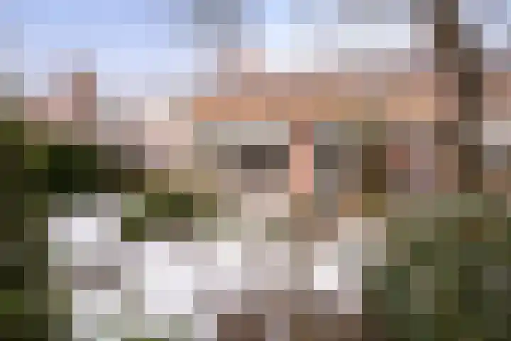 Van der Weidenlaan 7 Heemstede thumbnail 49