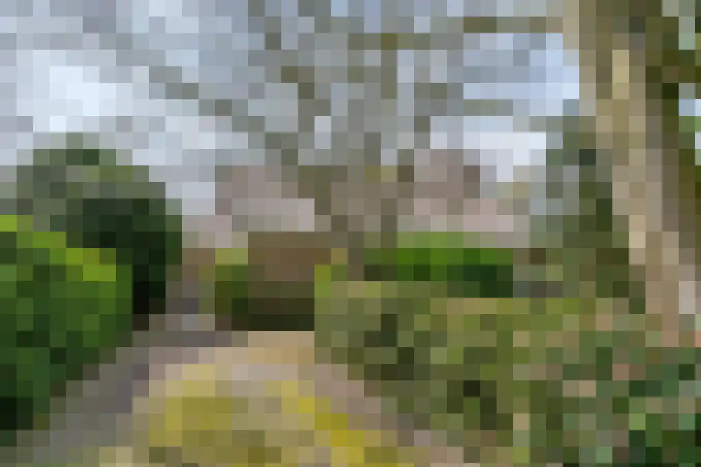 Van der Weijdenlaan 9 Noordwijkerhout foto 2