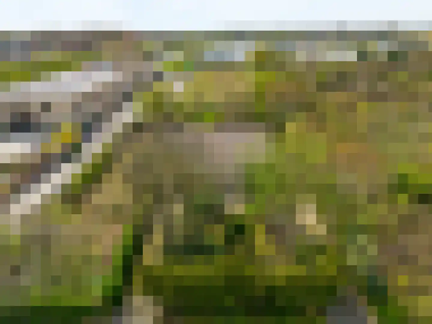 Van der Weijdenlaan 9 Noordwijkerhout thumbnail 37