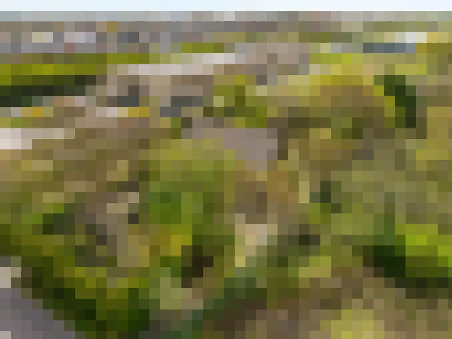 Van der Weijdenlaan 9 Noordwijkerhout thumbnail 38