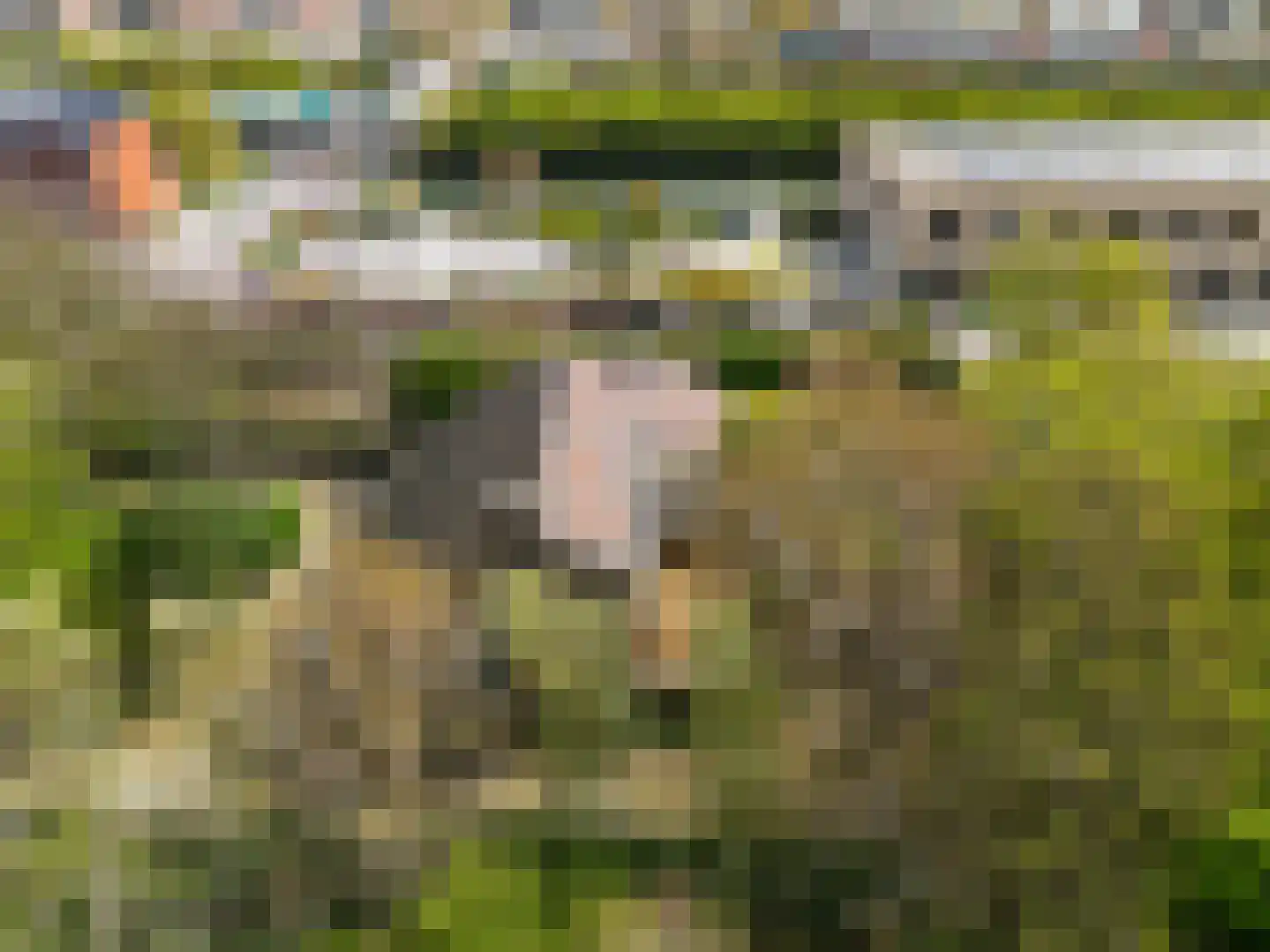 Van der Weijdenlaan 9 Noordwijkerhout thumbnail 39