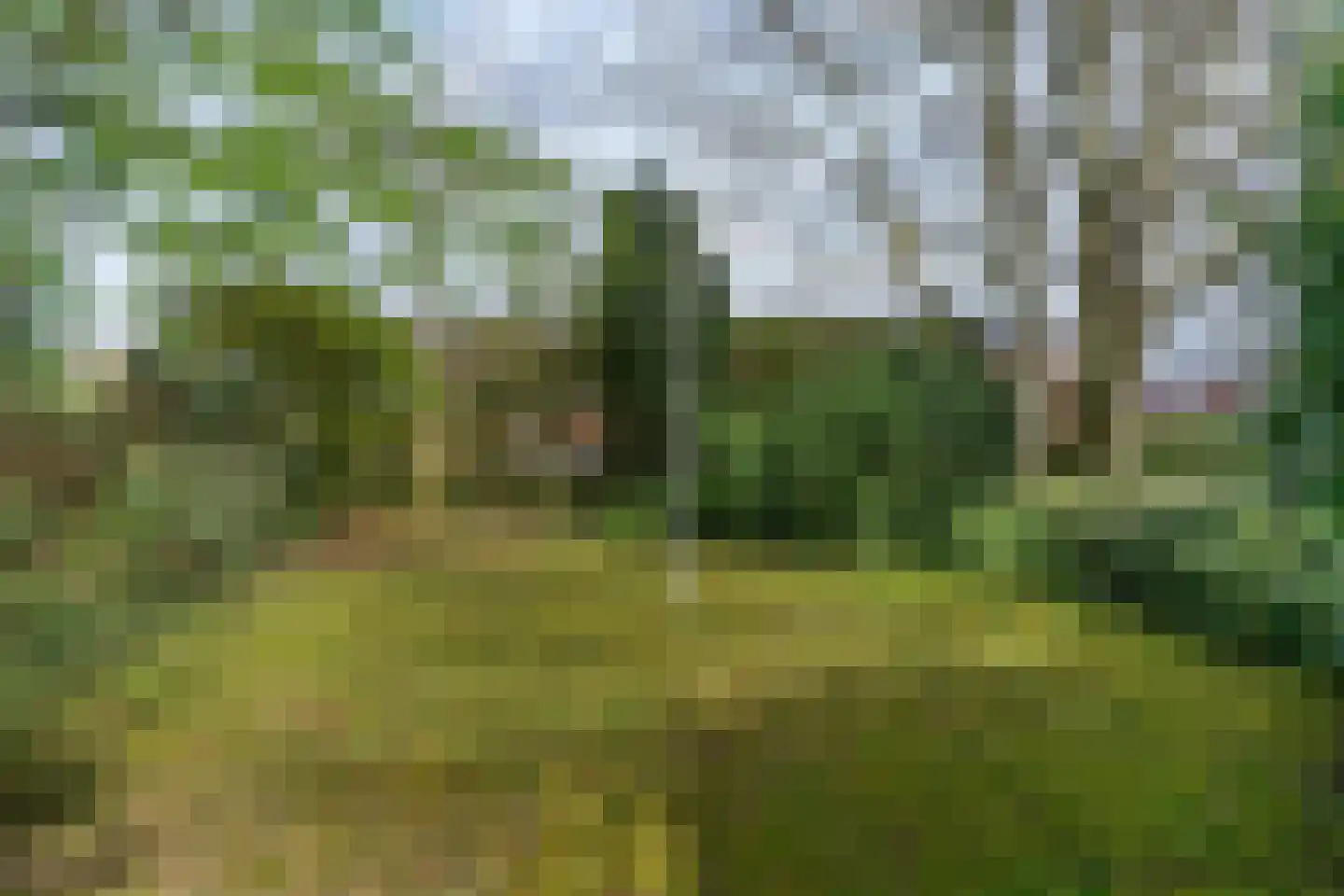 Van der Weijdenlaan 9 Noordwijkerhout thumbnail 40