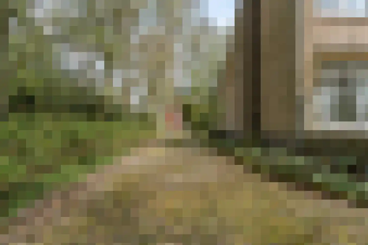 Van der Weijdenlaan 9 Noordwijkerhout thumbnail 45