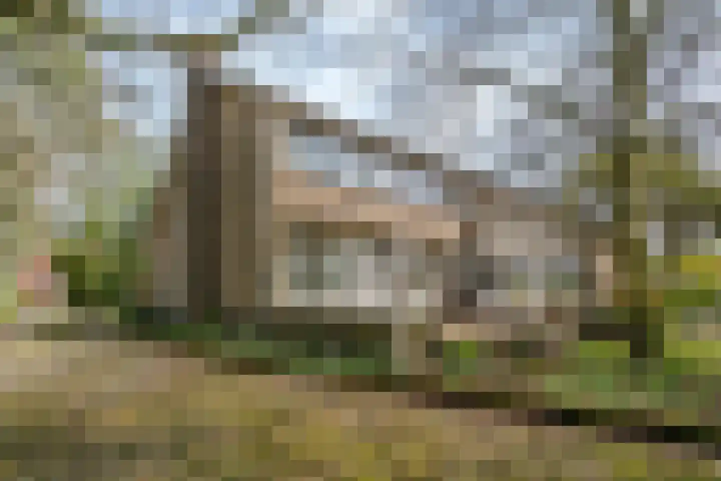 Van der Weijdenlaan 9 Noordwijkerhout thumbnail 46