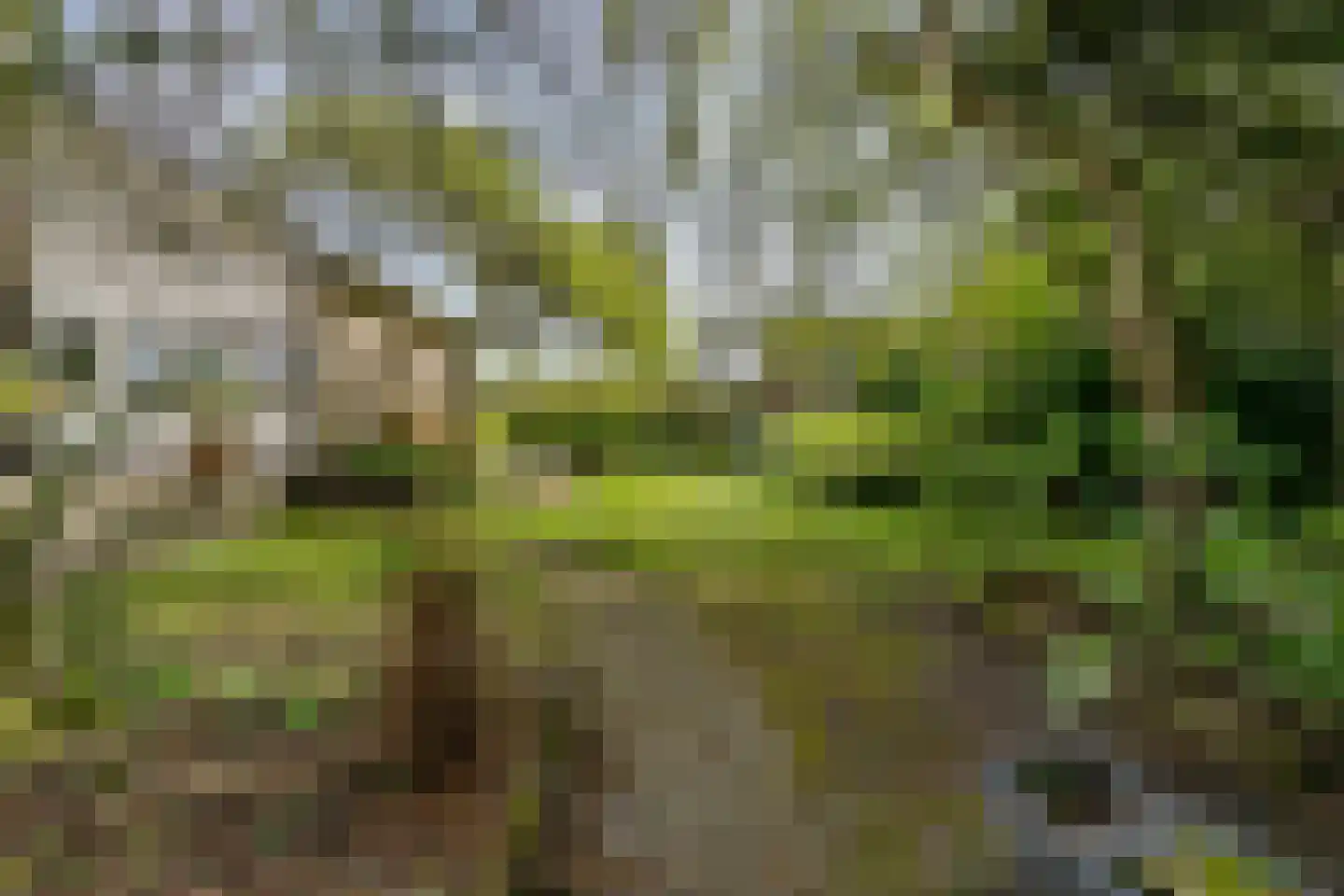 Van der Weijdenlaan 9 Noordwijkerhout thumbnail 47