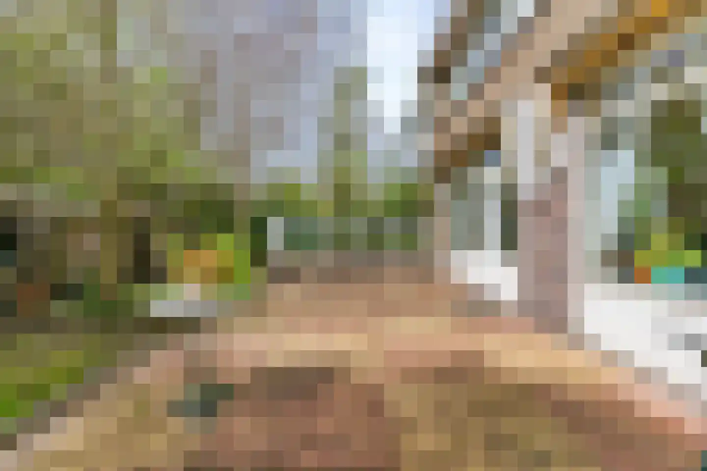 Van der Weijdenlaan 9 Noordwijkerhout thumbnail 48