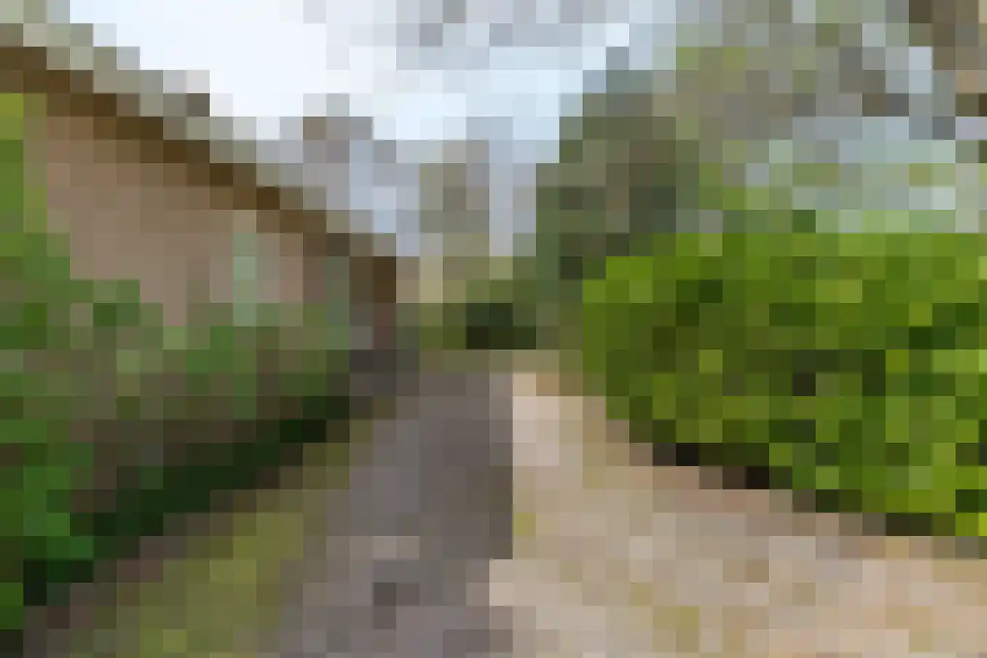 Van der Weijdenlaan 9 Noordwijkerhout thumbnail 5