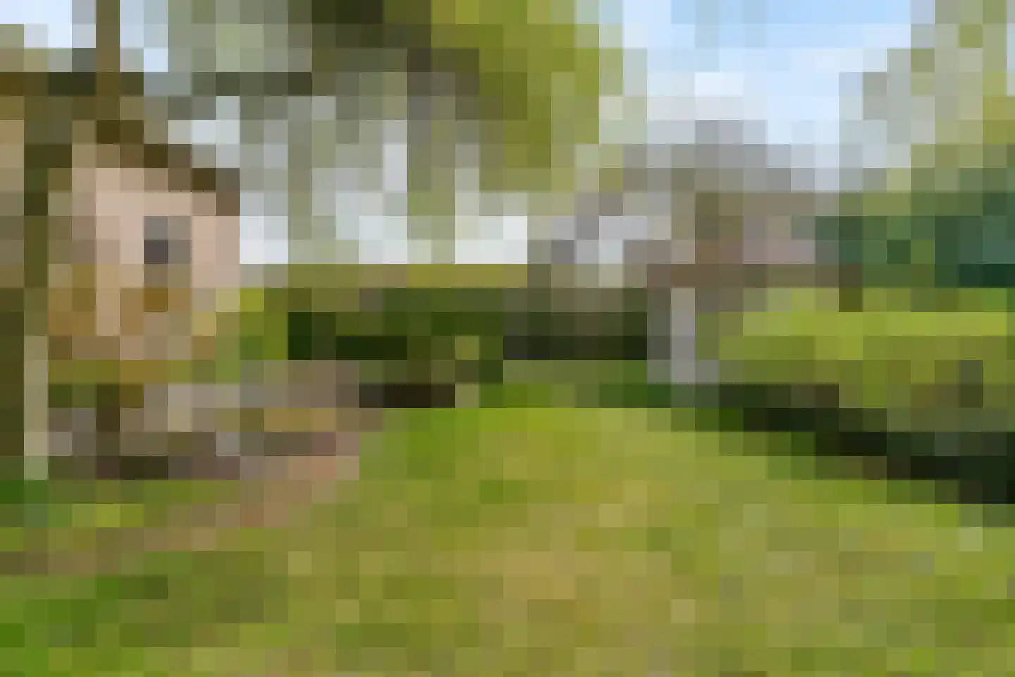 Van der Weijdenlaan 9 Noordwijkerhout thumbnail 50