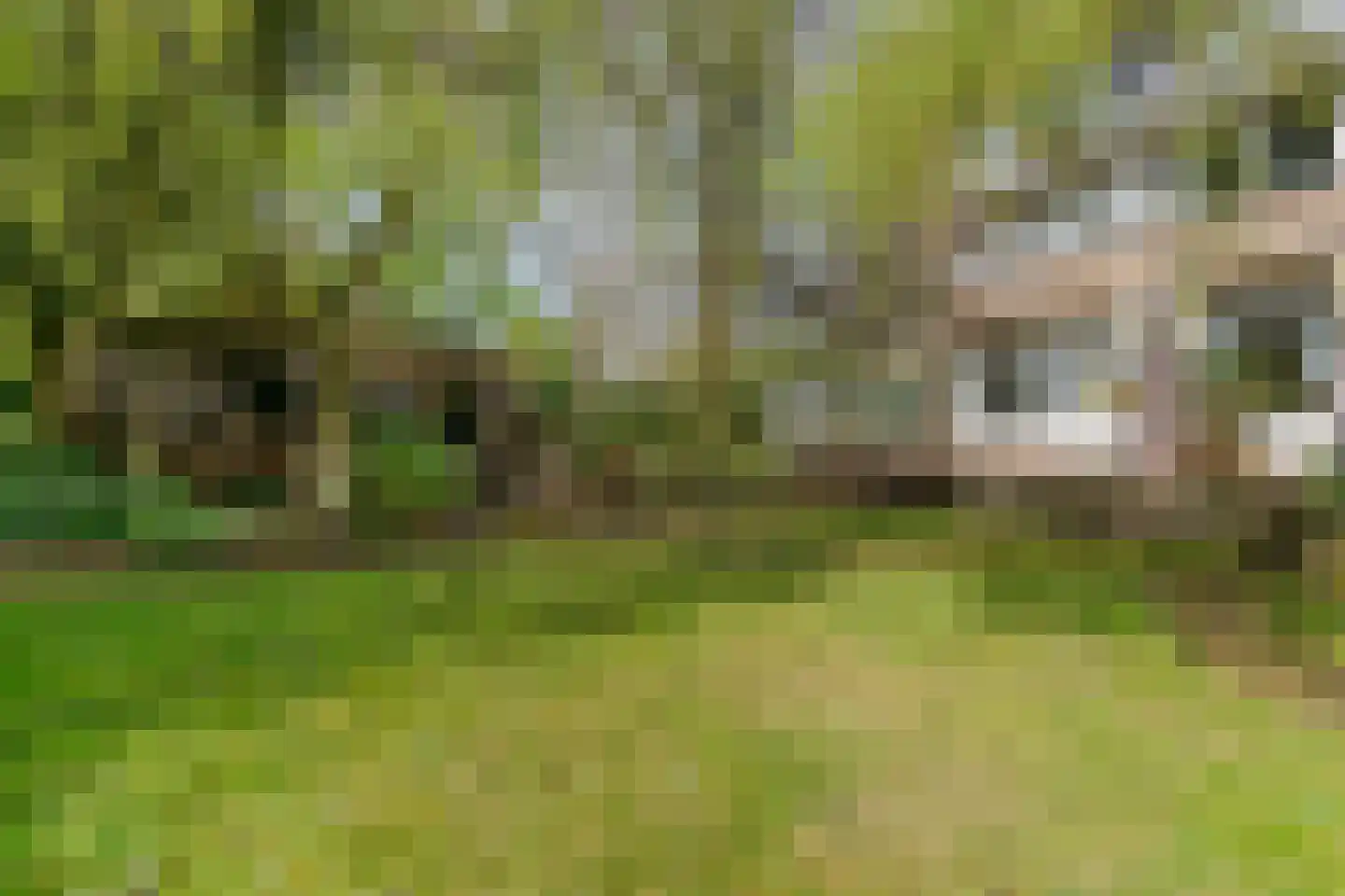 Van der Weijdenlaan 9 Noordwijkerhout thumbnail 51