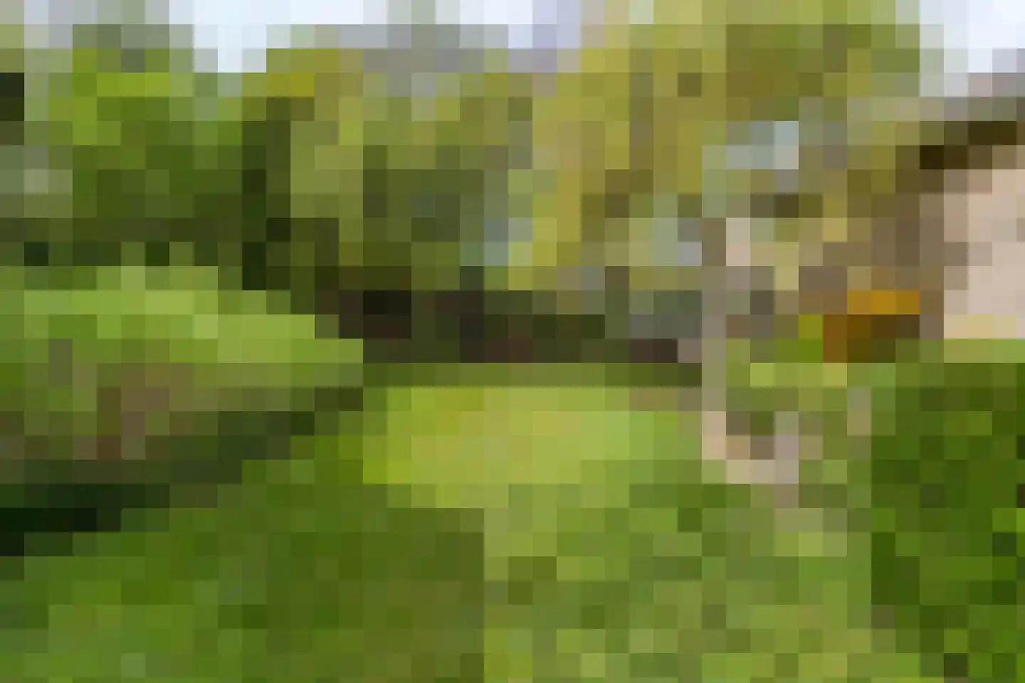 Van der Weijdenlaan 9 Noordwijkerhout thumbnail 52