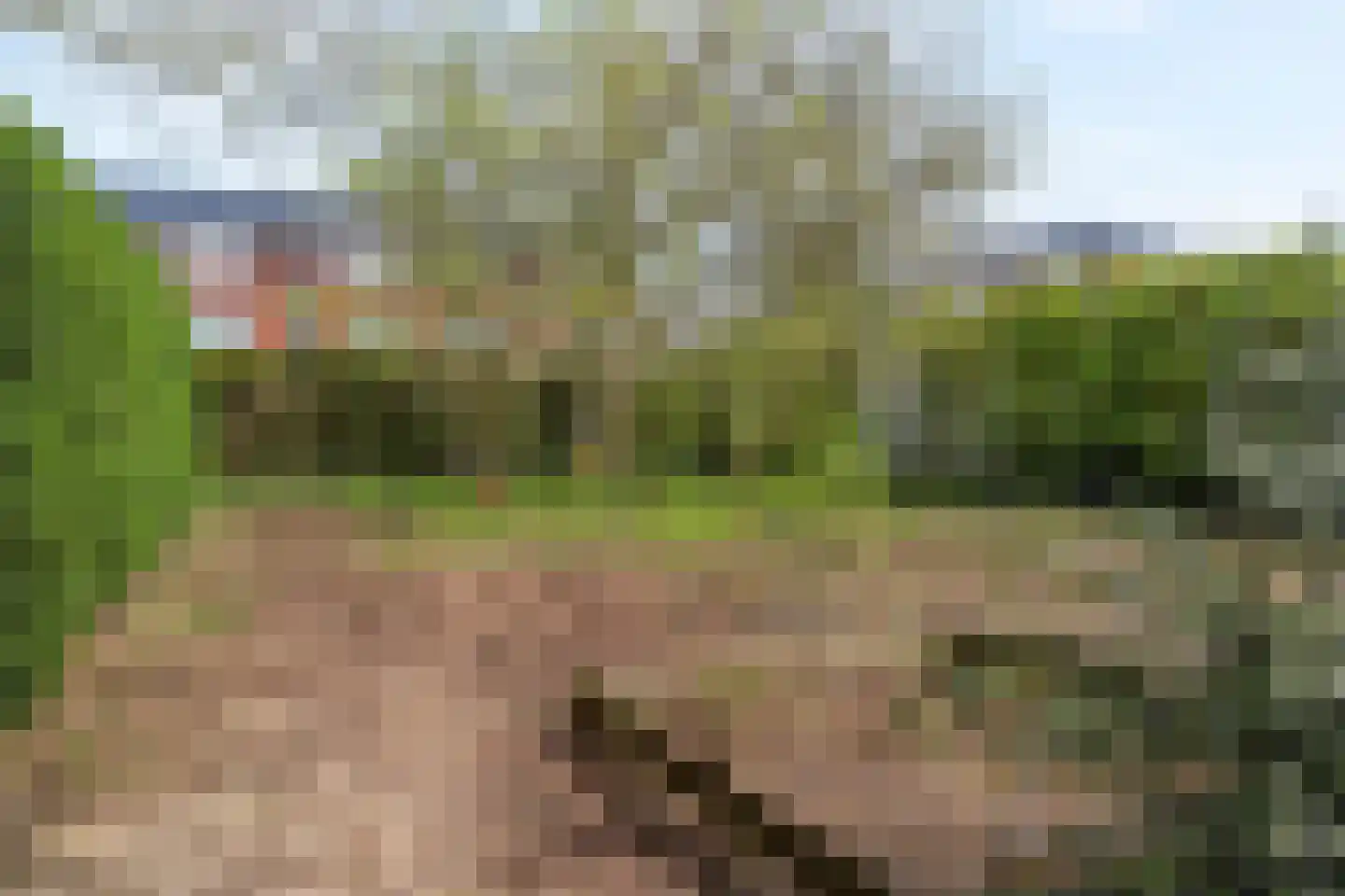 Van der Weijdenlaan 9 Noordwijkerhout thumbnail 58
