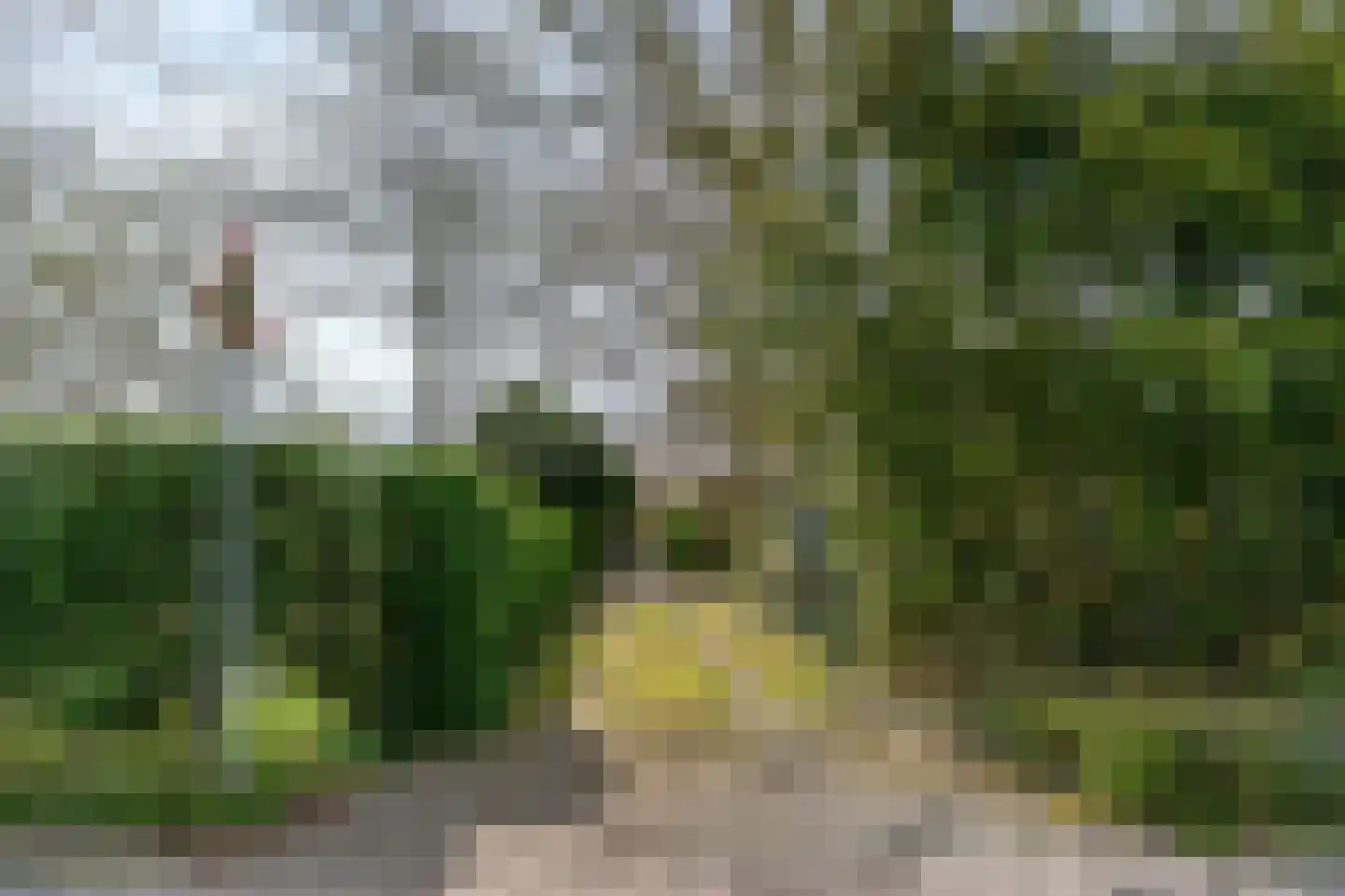 Van der Weijdenlaan 9 Noordwijkerhout thumbnail 59