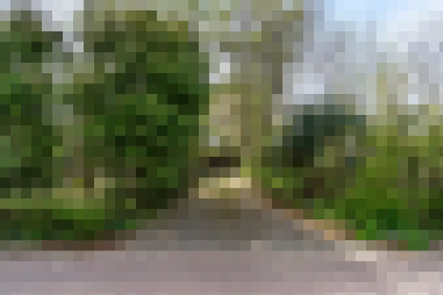 Van der Weijdenlaan 9 Noordwijkerhout thumbnail 6