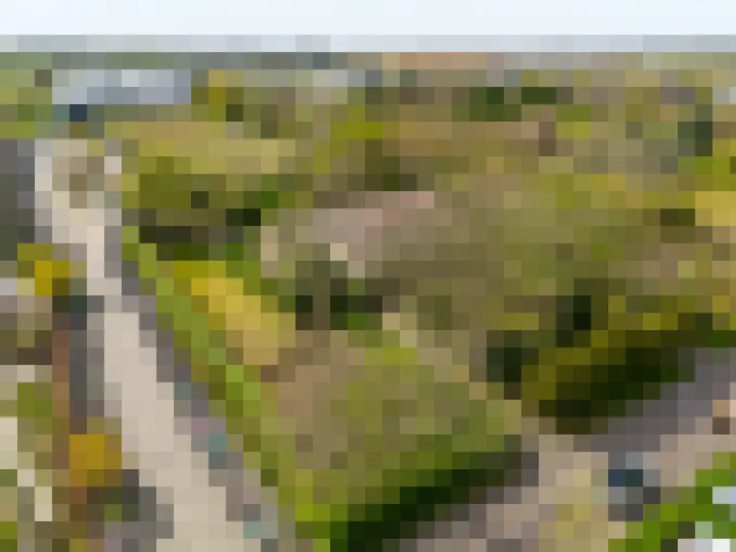 Van der Weijdenlaan 9 Noordwijkerhout thumbnail 60