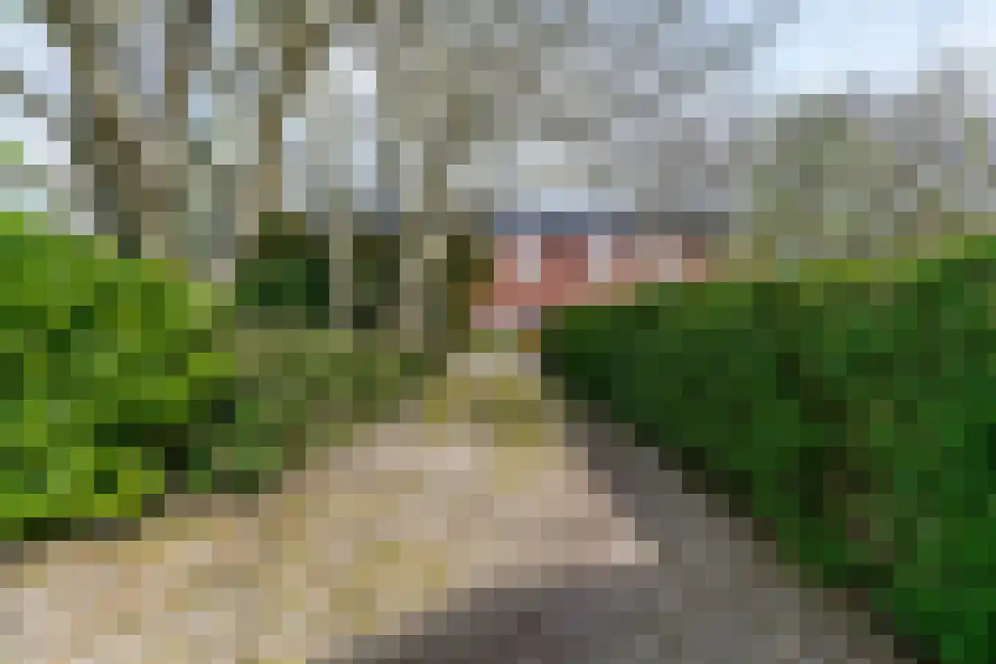 Van der Weijdenlaan 9 Noordwijkerhout thumbnail 63
